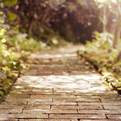 Bob体育登录入口APP下载截图